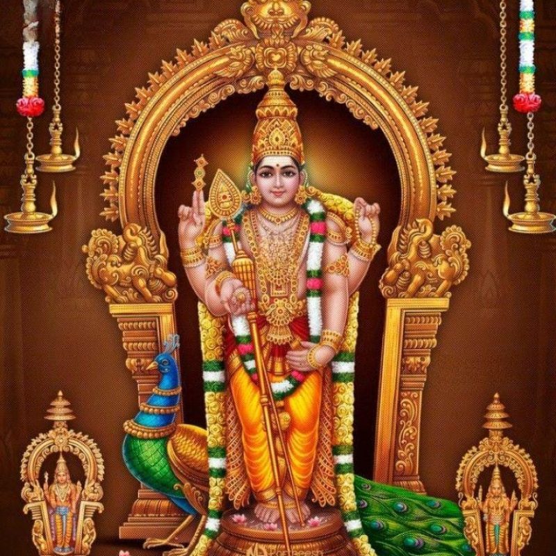 WhatsApp Image 2025-11-16 at 6.06.25 PM